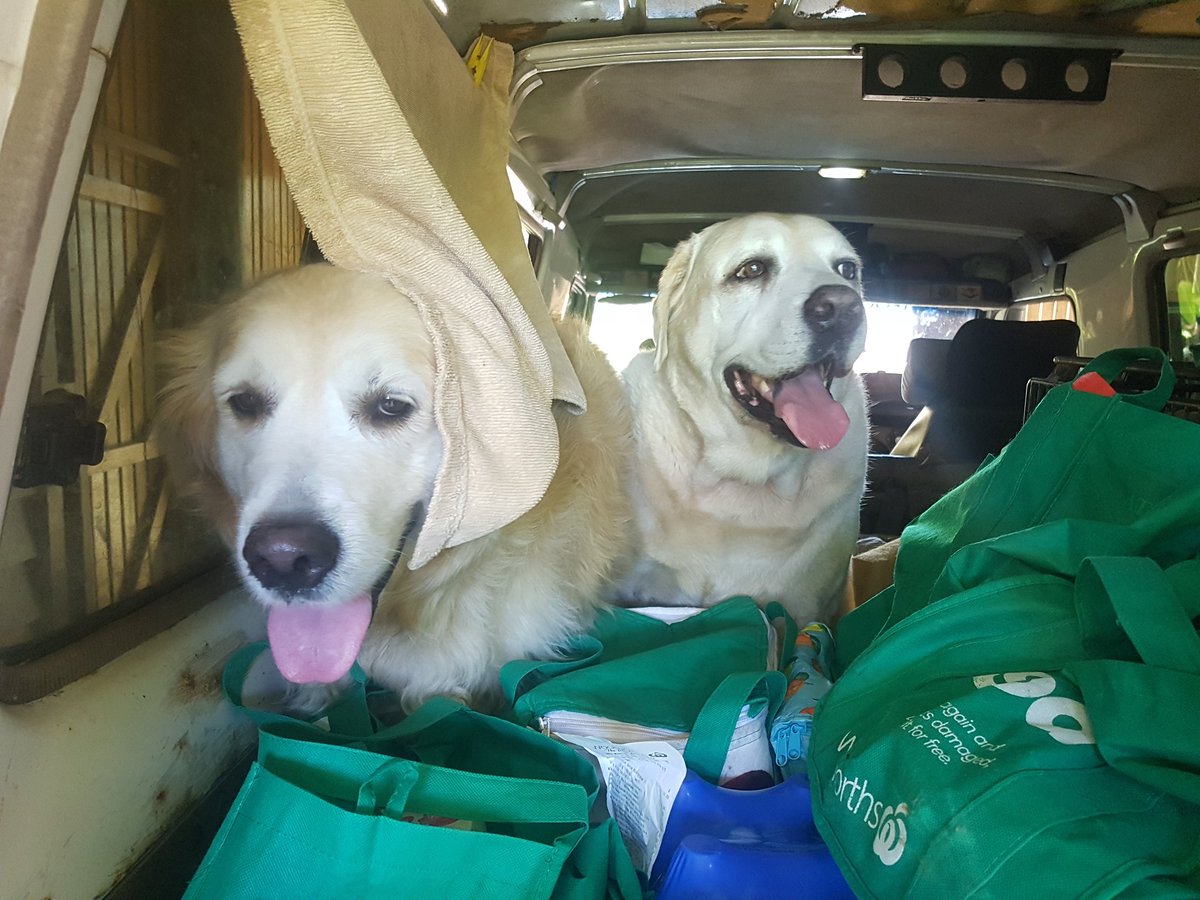 We have the shopping dad, you need to pay us for looking after it. We smell chicken...cough up.