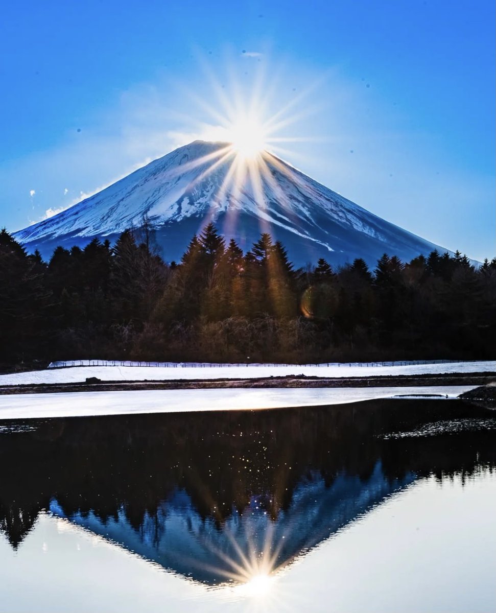 トラベルバー|自粛後行きたい情報✨ tweet media