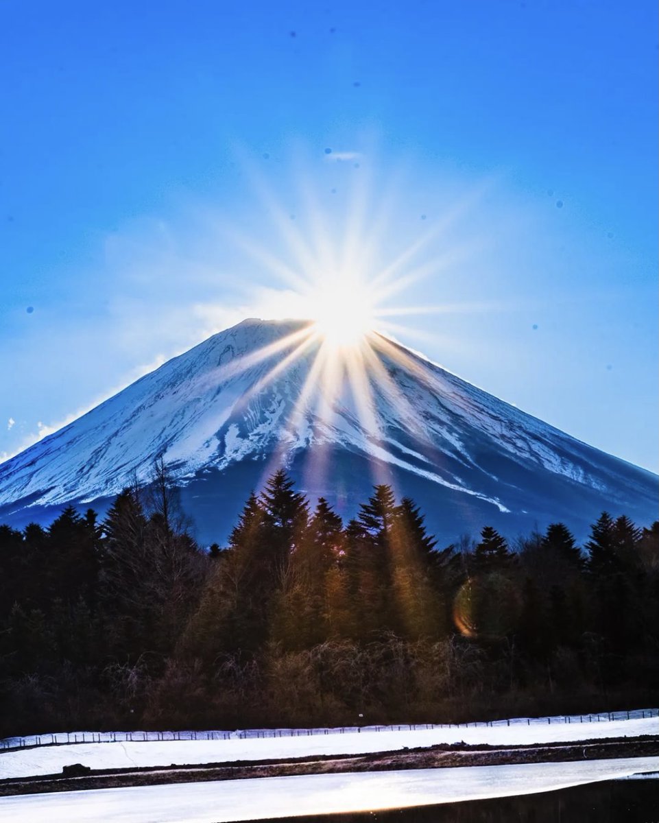 トラベルバー|自粛後行きたい情報✨ tweet media