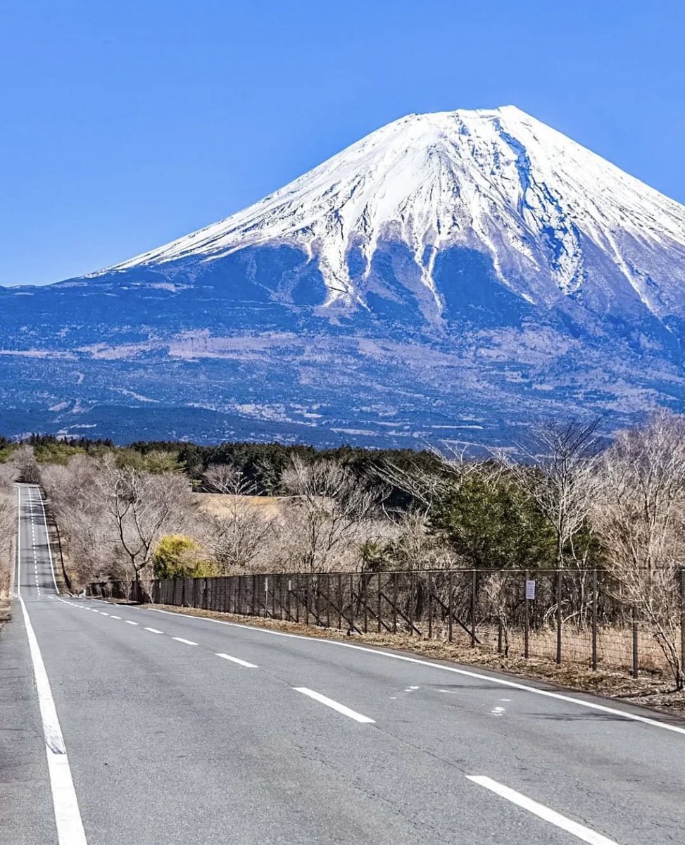 トラベルバー|自粛後行きたい情報✨ tweet media