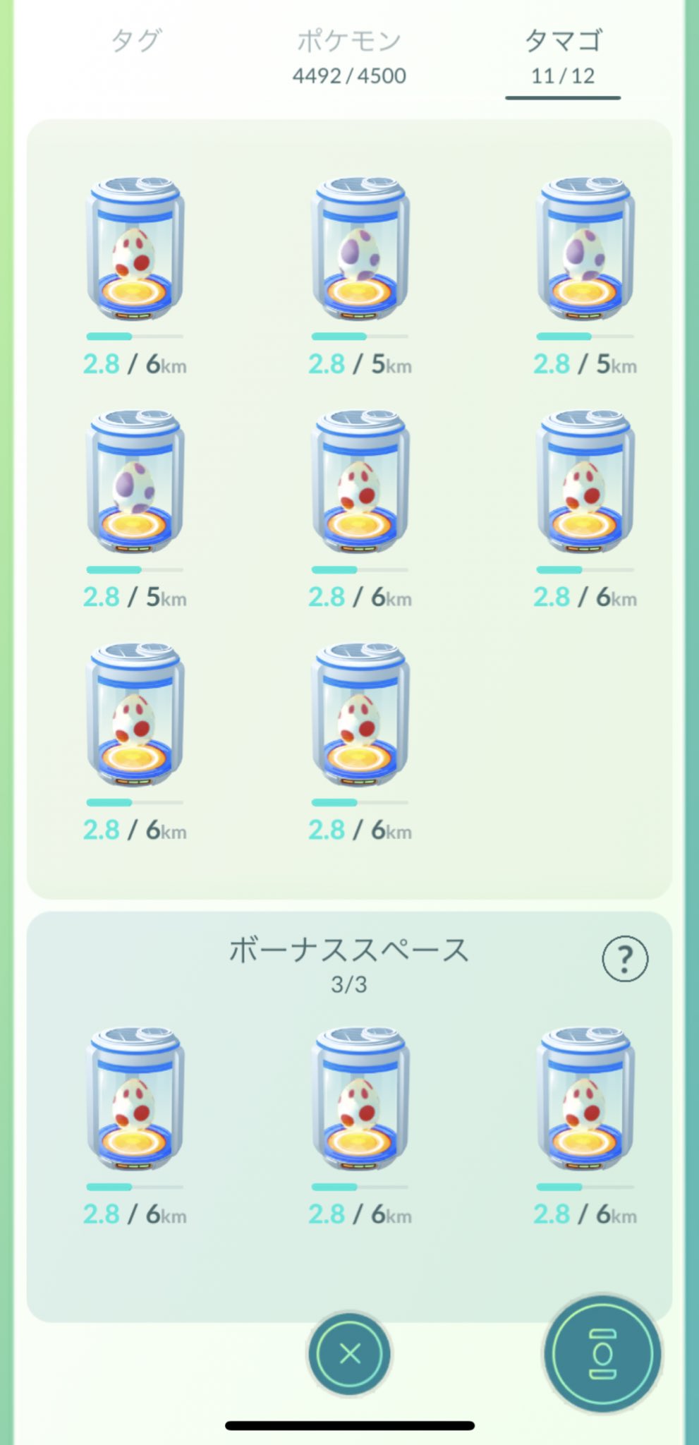 みぶー 毛三毛三 ポケモンgoで孵化装置系イベント発生したので 元旦に正月っぽい事しようと一気に仕掛けたのだった 孵化しそうになったらほしのかけらを仕掛ければバッチリ ｲｲﾈｲｲﾈ と思ってたのだが あれから4日 そこそこ動いてるのに何故だ あと1