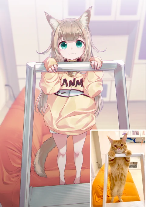 三脚につかまるあざときなこ
#うちのねこが女の子でかわいい 