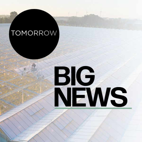 Mardenkro's tweet photo. Tomorrow we're going to share some BIG NEWS with you. This will be another milestone for us and we can't wait to bring it into the world. So keep an eye on our page from now on and don't miss this moment! #countdown #horticulture https://t.co/E1QzHyw5bd