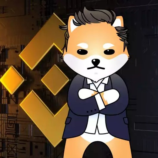 taher_khezri's tweet photo. @altcryptocom @binance #dogelonmars 
#dogelon 
$elon https://t.co/CwBfdBfAQw