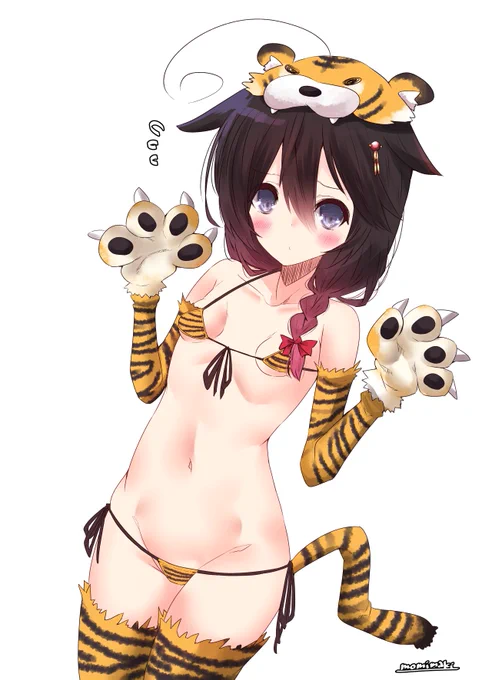 🐯🐯🐯 