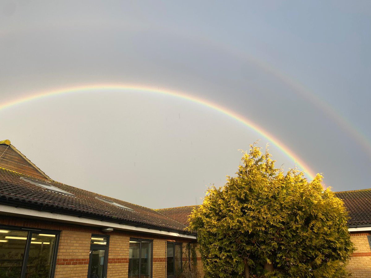 TLA Science Faculty tweet media