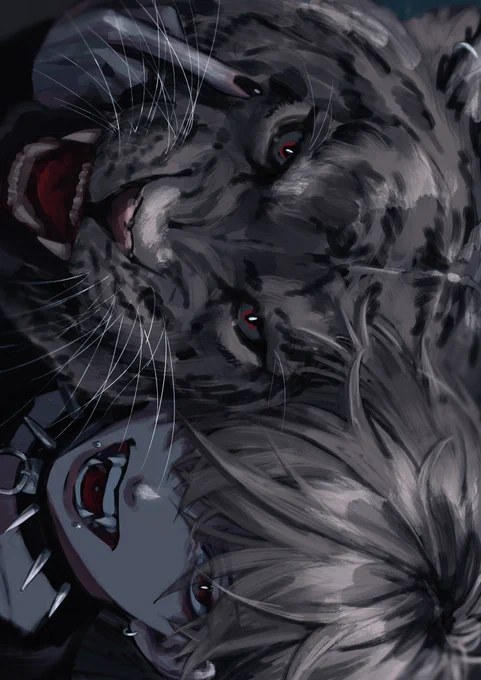 meow 