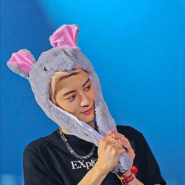 capangsss's tweet photo. D-267💙

I miss him so bad🌿 

#CHANYEOL #찬열 @weareoneEXO https://t.co/mj7gpOBW56