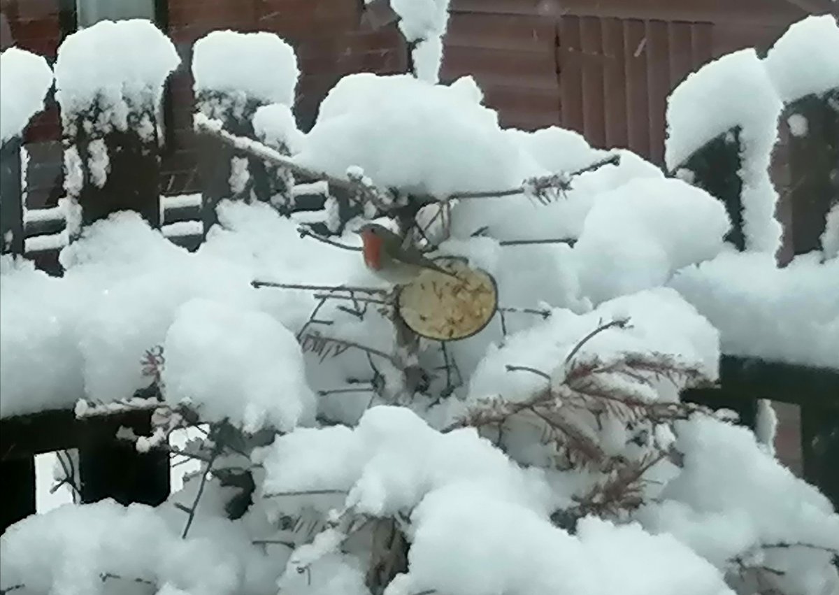 Shonza10's tweet photo. @highlandweather And it's still snowing in Aviemore! https://t.co/wEZISXHOkB