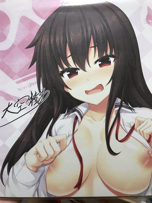 ノラととちょみん 