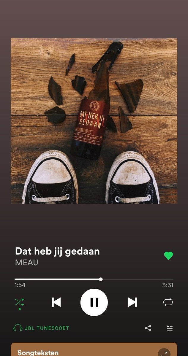 dit is het mooiste Nederlandse liedje