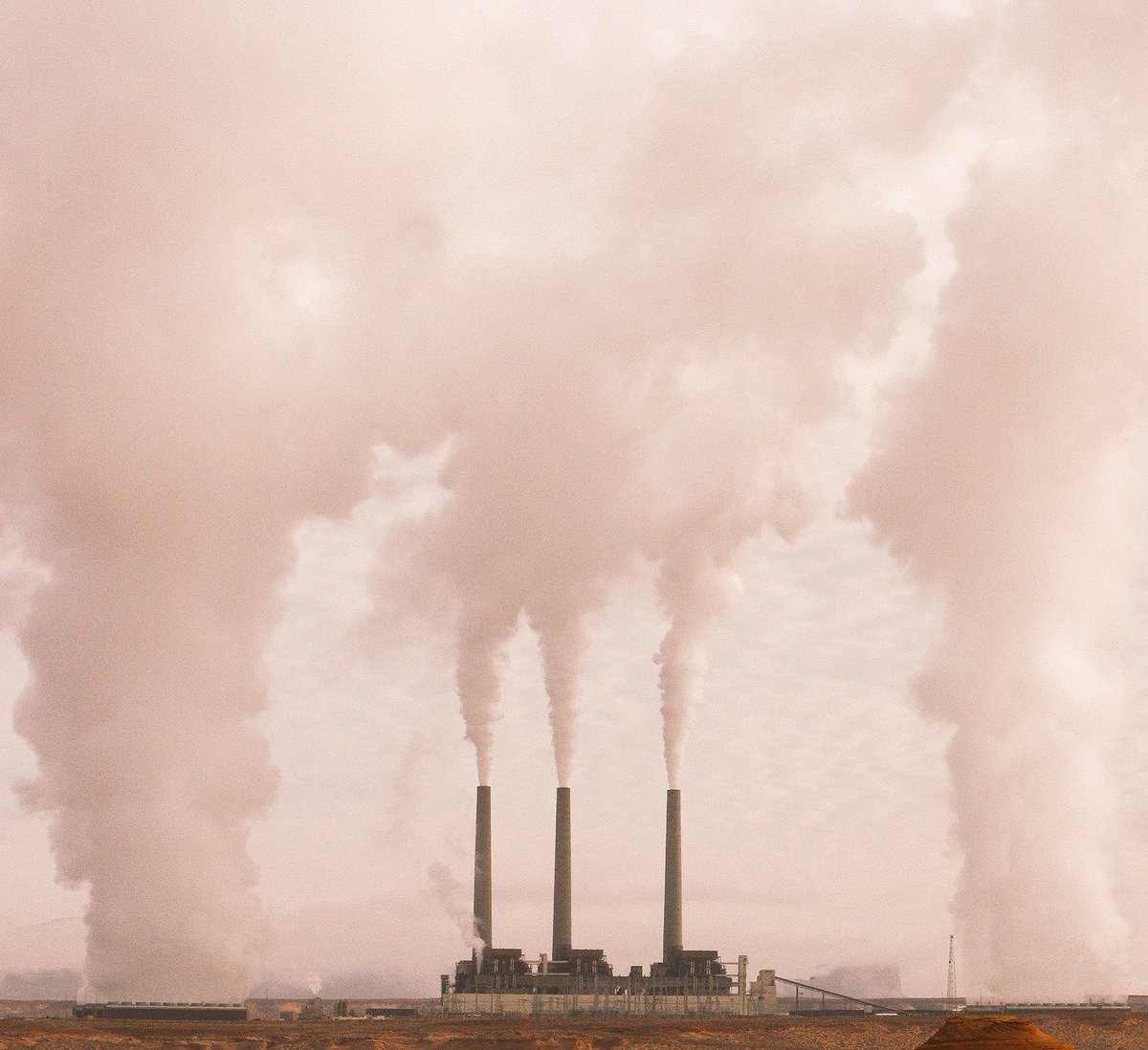 Professor Mark Maslin 👋 𝕏 tweet media