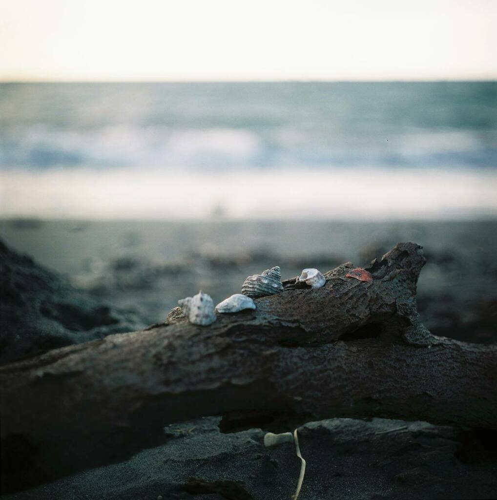 terugraphy08's tweet photo. *
🗓 2021.12
📍 #葉山
#film #mediumformat
📷 #zenzabronicas2 #nikkorp75mmf28
🎞️ #pro400 #expiredfilm
==========
https://t.co/QU2X3qiYwO https://t.co/GZ36s6b0n8