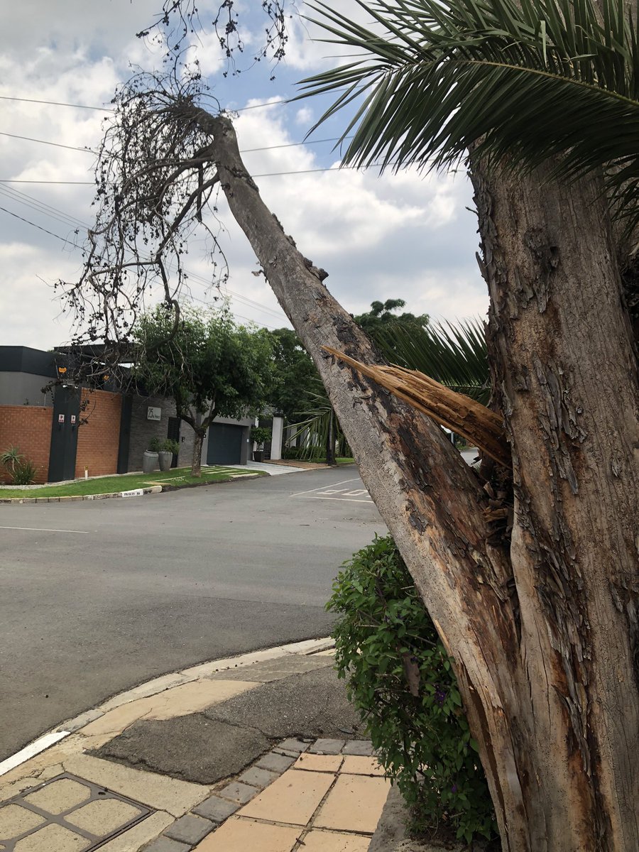 VernieBot's tweet photo. @CityPowerJhb - hello ☺️ dangerous situation on corner Frances Road and Wolfgang Ave in Norwood. See ref number in photos. Thanks https://t.co/H6cH6X5ddC