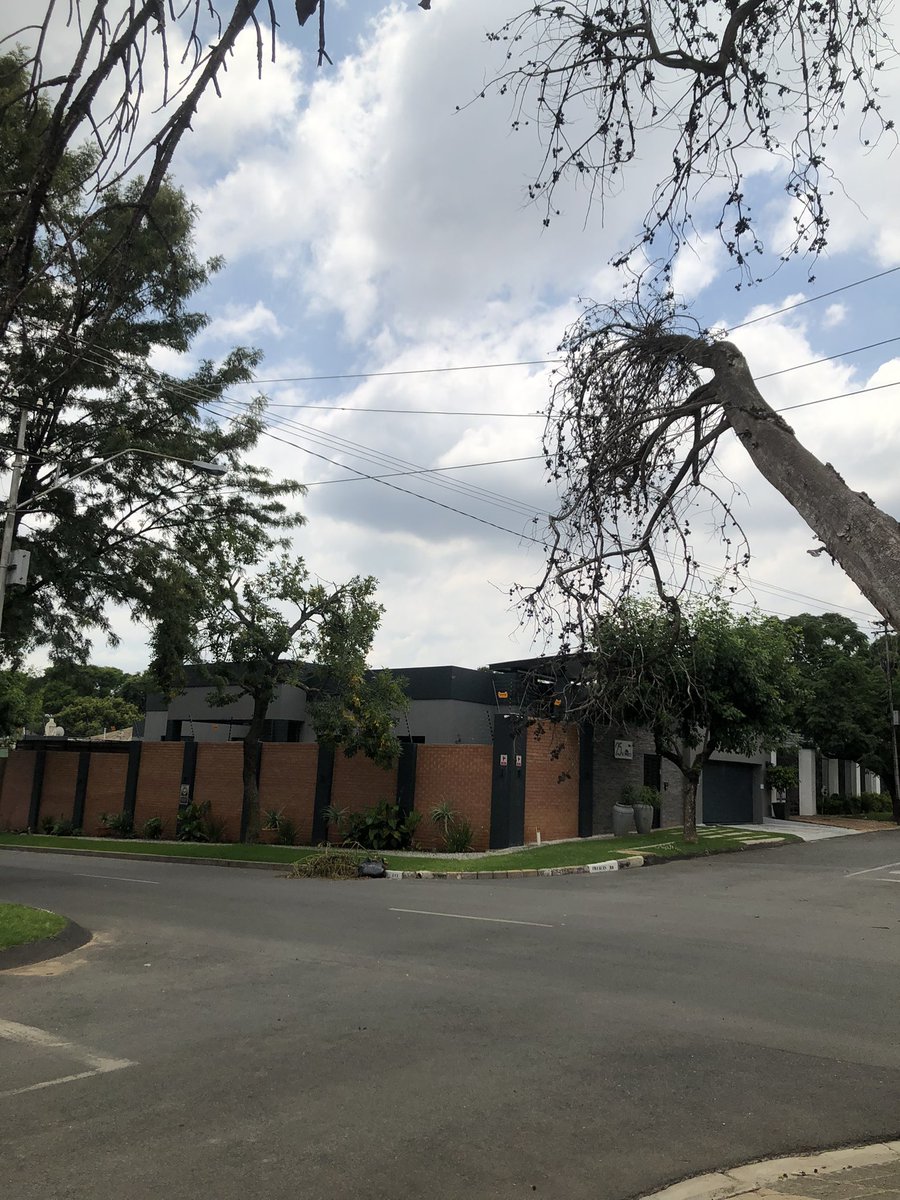 VernieBot's tweet photo. @CityPowerJhb - hello ☺️ dangerous situation on corner Frances Road and Wolfgang Ave in Norwood. See ref number in photos. Thanks https://t.co/H6cH6X5ddC