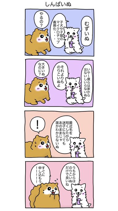 しんぱいぬ #コンしら 
