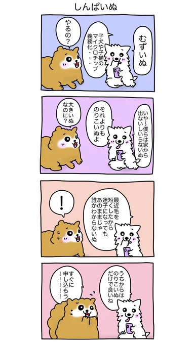 しんぱいぬ #コンしら 