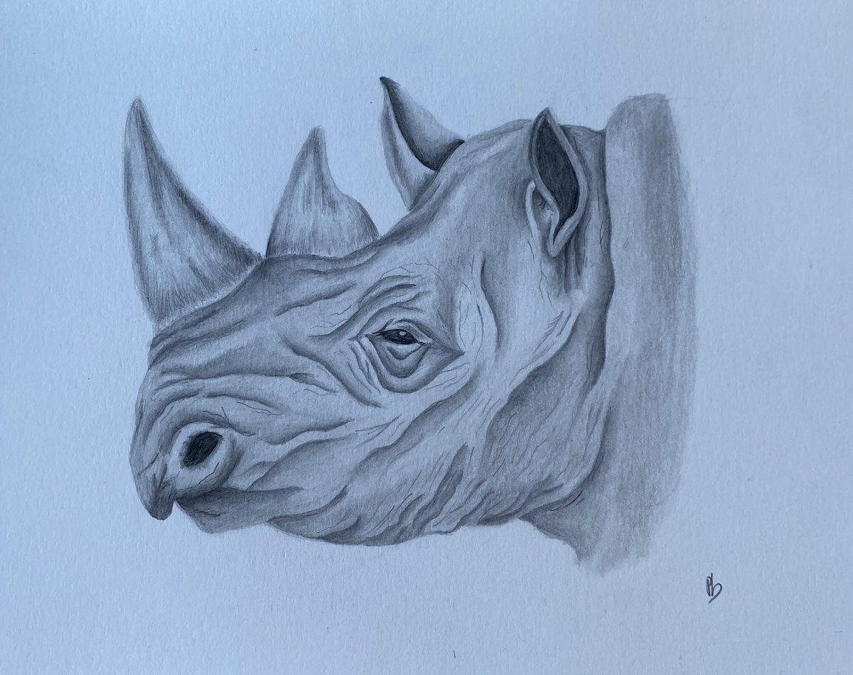 philantrhxpe's tweet photo. Rhinocéros 

#rhinoceros #rhino #dessin #drawing #drawingwithadhd #art #realist https://t.co/tOsM4RGVBH