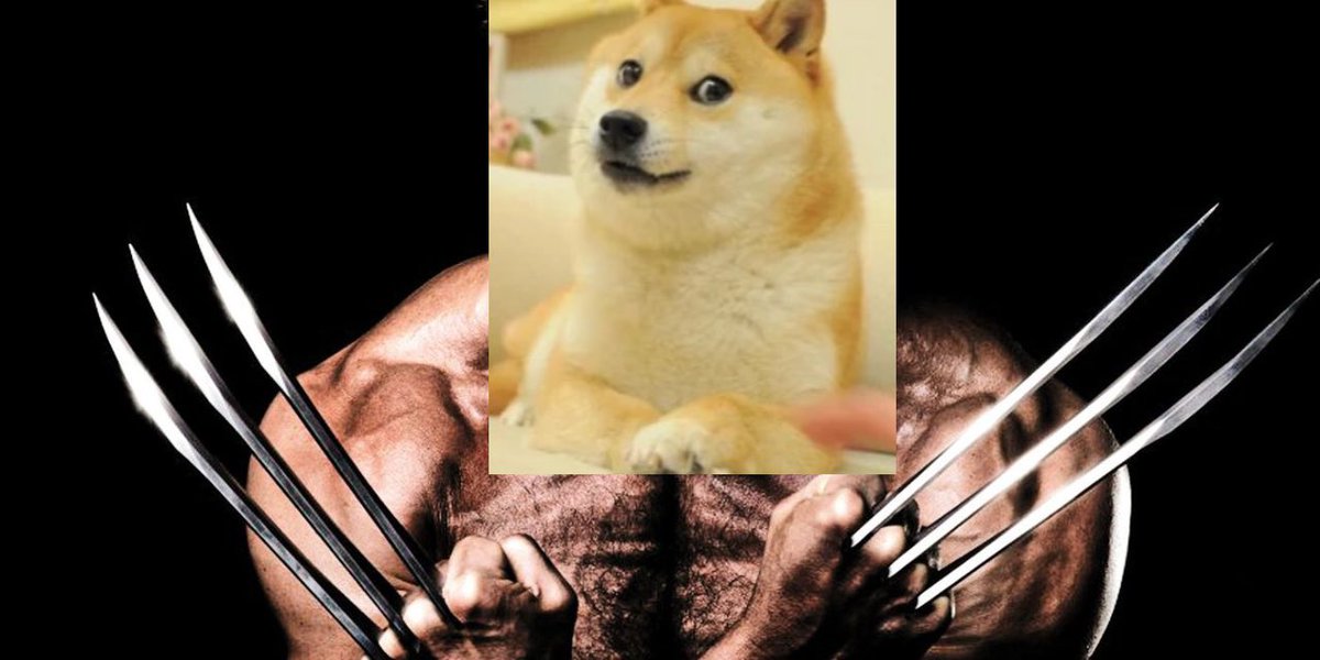 Griz_zySnipes's tweet photo. @MutantShibaClub Mutant shiba https://t.co/rqoiQhNjer