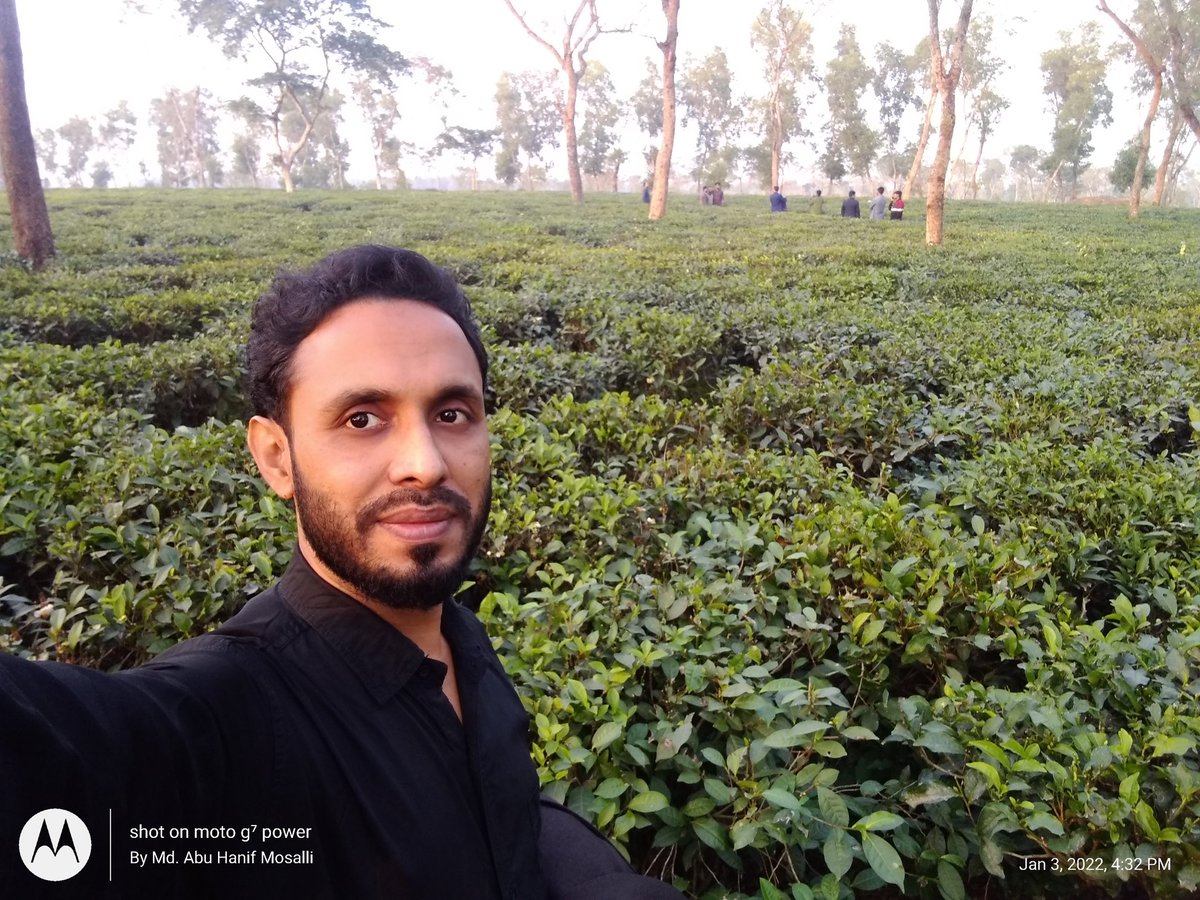 AbuHanifMosalli's tweet photo. সুরমা চা বাগান, হবিগঞ্জ। https://t.co/0YSKtaFyKo