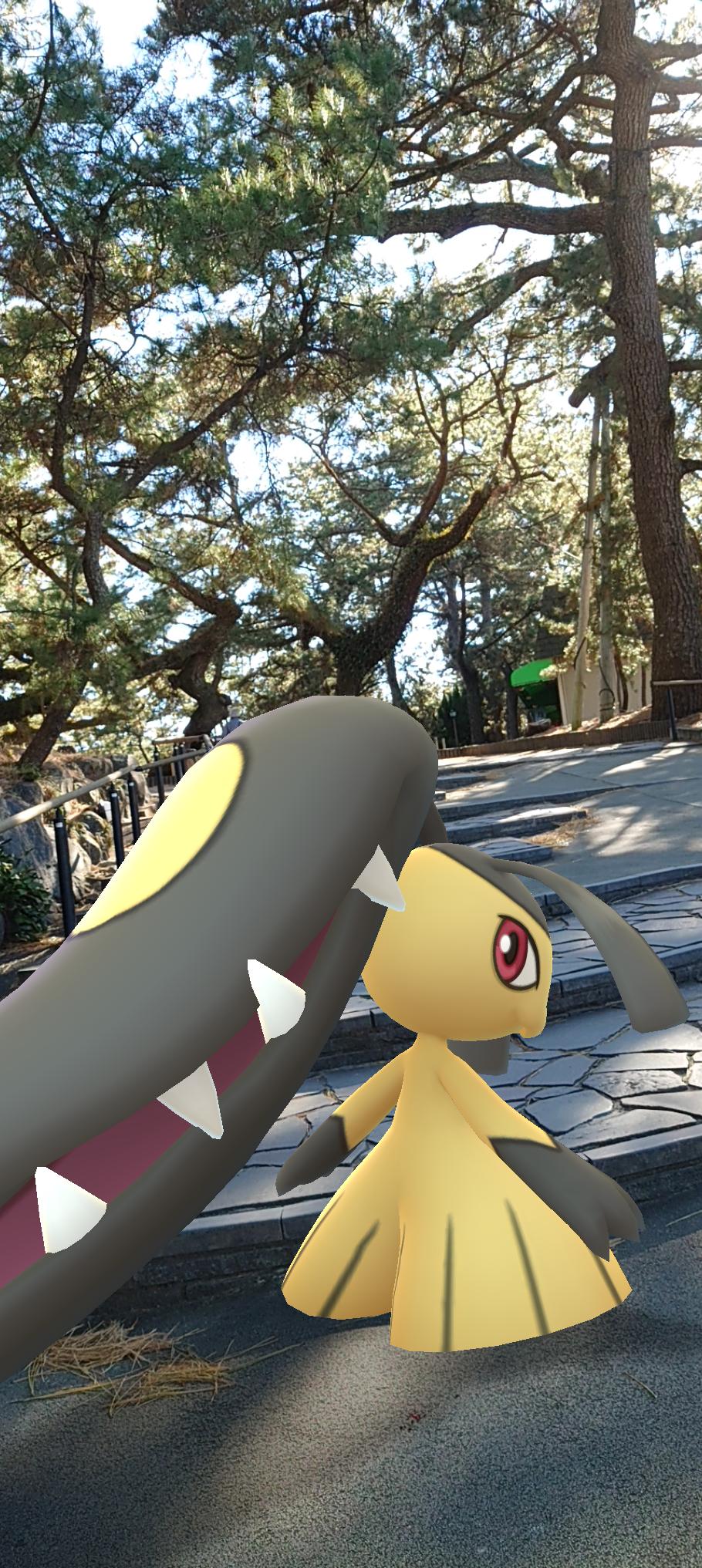 魚河岸しるばぁ 暖かくて気持ちいい 三保の松原 Newyearar あけおめar写真展 Gosnapshot Aroftheday Pokemon 好きなようにgoしよう ポケモンgo クチート ラプラス ロコン T Co Vezvubugqm Twitter