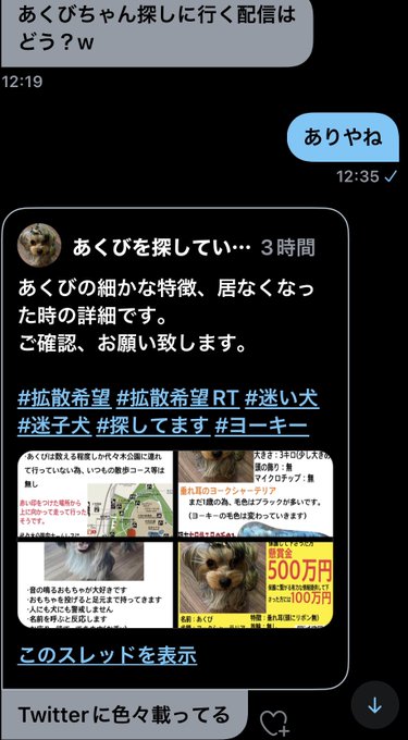 代々木公園に500万円落ちているって考えたらすごい 迷子犬 ヨークシャー のあくびちゃんを見つけた人に500万円の懸賞金 しんやっちょも参戦 まとめダネ