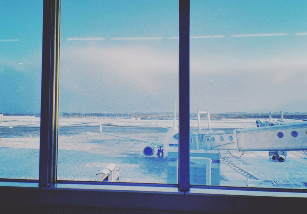 NorthTeikoku's tweet photo. morning flight https://t.co/khOpUPYM3C https://t.co/kzOgz4i74V