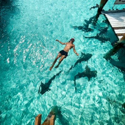 Banner🤙🏽 tweet media