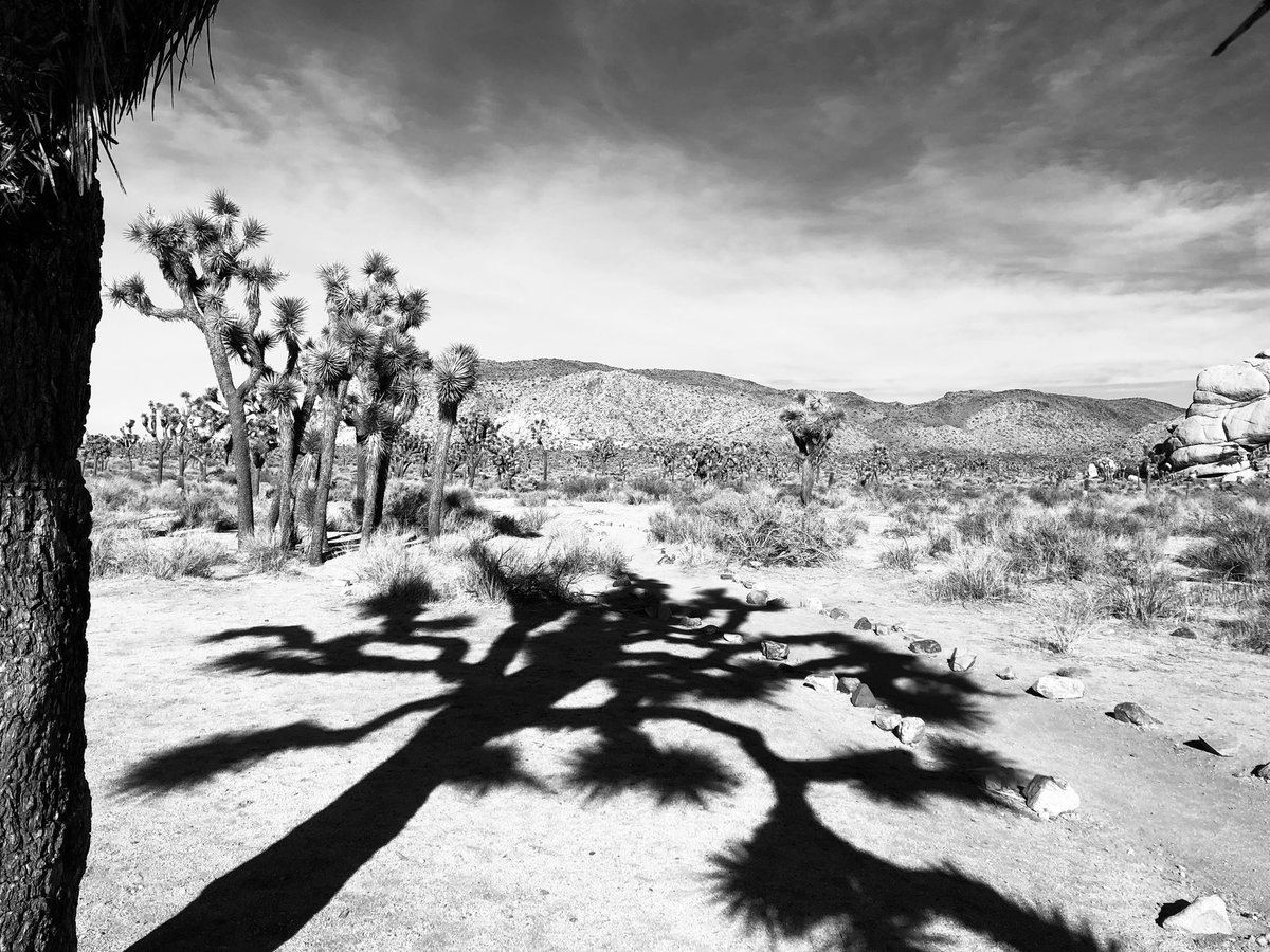 socalpaulschulz's tweet photo. Our trip to @JoshuaTreeNPS was a good one. #WhiteTank #RyanMountain #HallofHorrors #HiddenValley #Blessed https://t.co/nnJGvApb6n