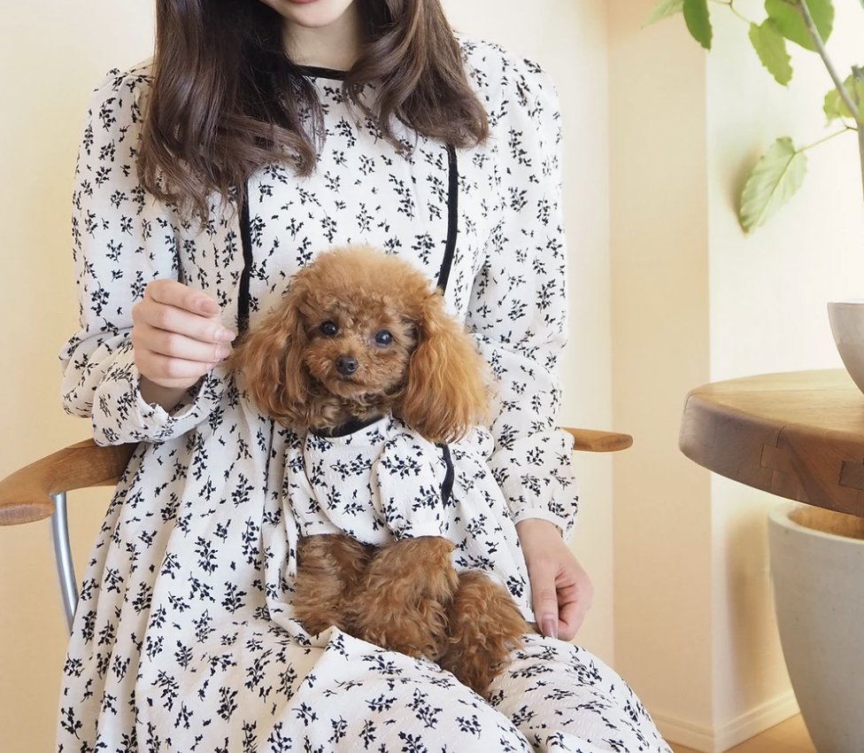toutou_coco's tweet photo. _______________________

犬服ペアルックブランド
toutou coco（トゥトゥココ）
_______________________

●公式サイト
https://t.co/K0A2IpBYyl

●Instagram
https://t.co/1xkdAQeuWc

●LINE公式アカウント
https://t.co/uD6d5AAXyQ https://t.co/ehIUQZamxo