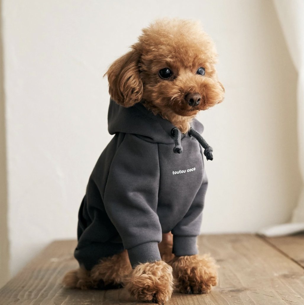 toutou_coco's tweet photo. _______________________

犬服ペアルックブランド
toutou coco（トゥトゥココ）
_______________________

●公式サイト
https://t.co/K0A2IpBYyl

●Instagram
https://t.co/1xkdAQeuWc

●LINE公式アカウント
https://t.co/uD6d5AAXyQ https://t.co/ehIUQZamxo