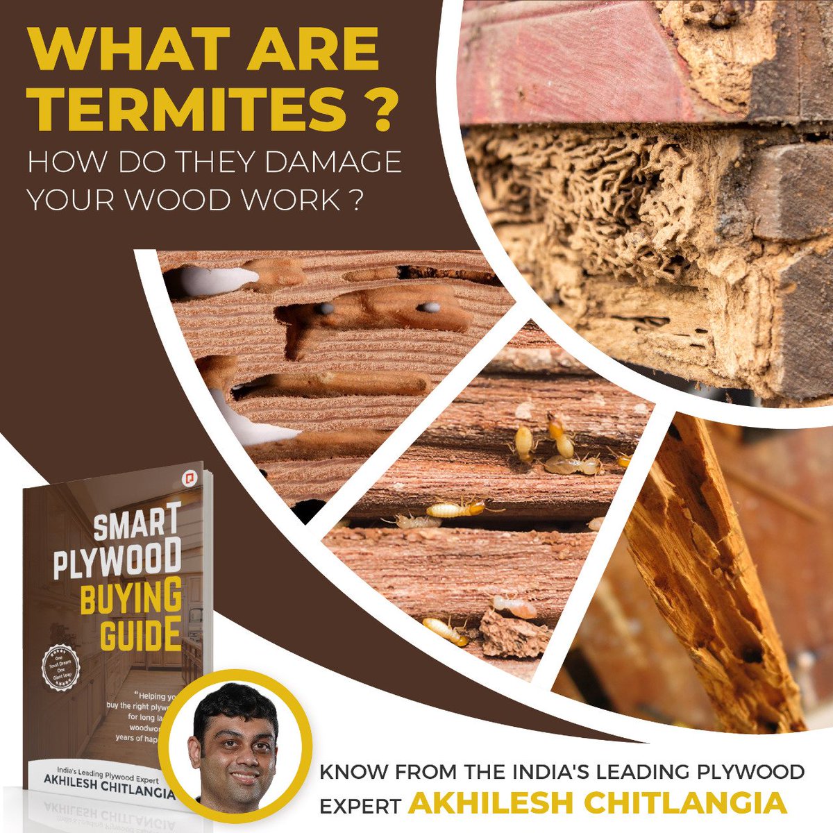 Duroply's tweet photo. Are you worried about the tiny pests/termites that can eat your expensive wooden furniture without being noticed and convert it into dust?

Know from the Inida's Leading Plywood Expert Akhilesh Chitlangia

 Download to know more: https://t.co/3A7R7rfTSj https://t.co/oel6JV0LDL