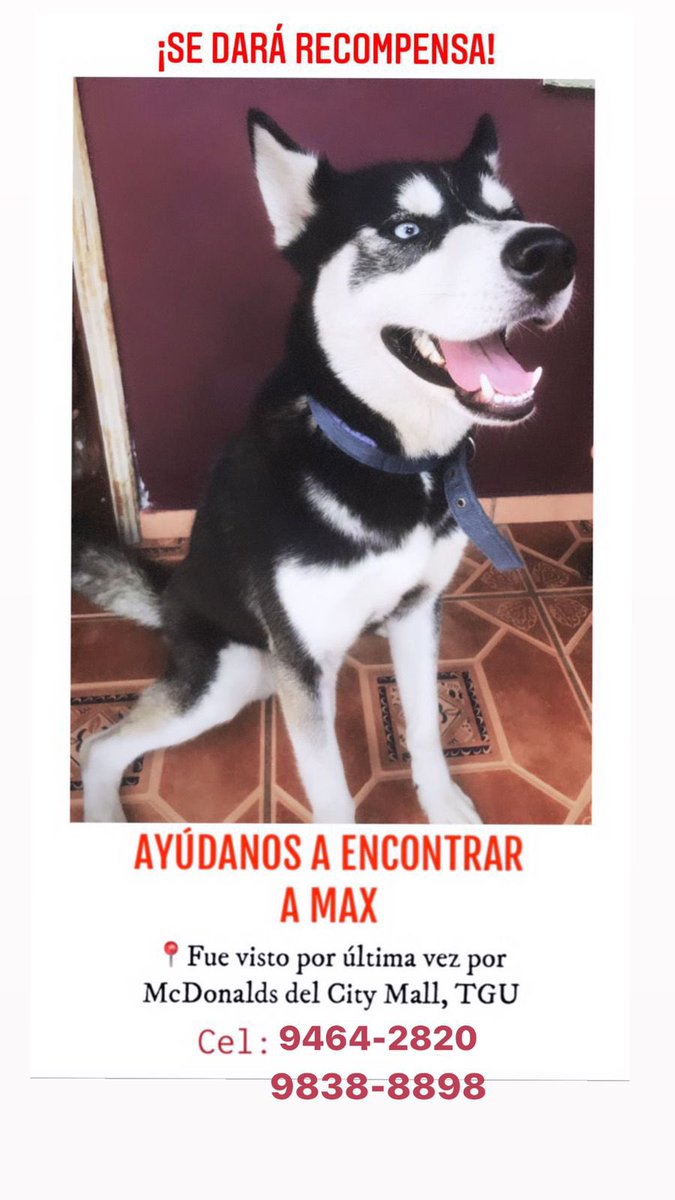 fernandovj99's tweet photo. Les agradecería mucho si me ayudan a darle rt por favor. https://t.co/bjnVtsEJLX