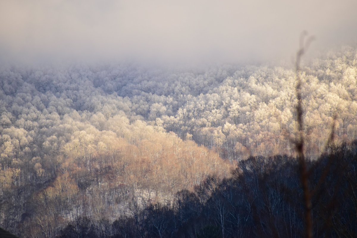 TifMeans's tweet photo. First snowfall of the winter season, you're here at last! ❄️💙. #ThePhotoHour #SnowHour #NaturePhotography #ncwx https://t.co/Gi18NLaMXY