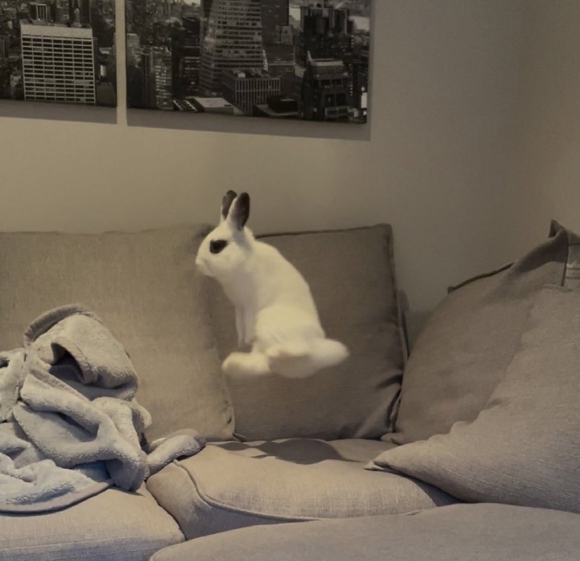아니 여러분 저 폰바꿨는데
네이버아이디랑 다 까먹어서
이제야 찾았어요 👏🏽👏🏽

새해 복 많이 받으세요 🙇🏽‍♀️❤️ -뒷북림