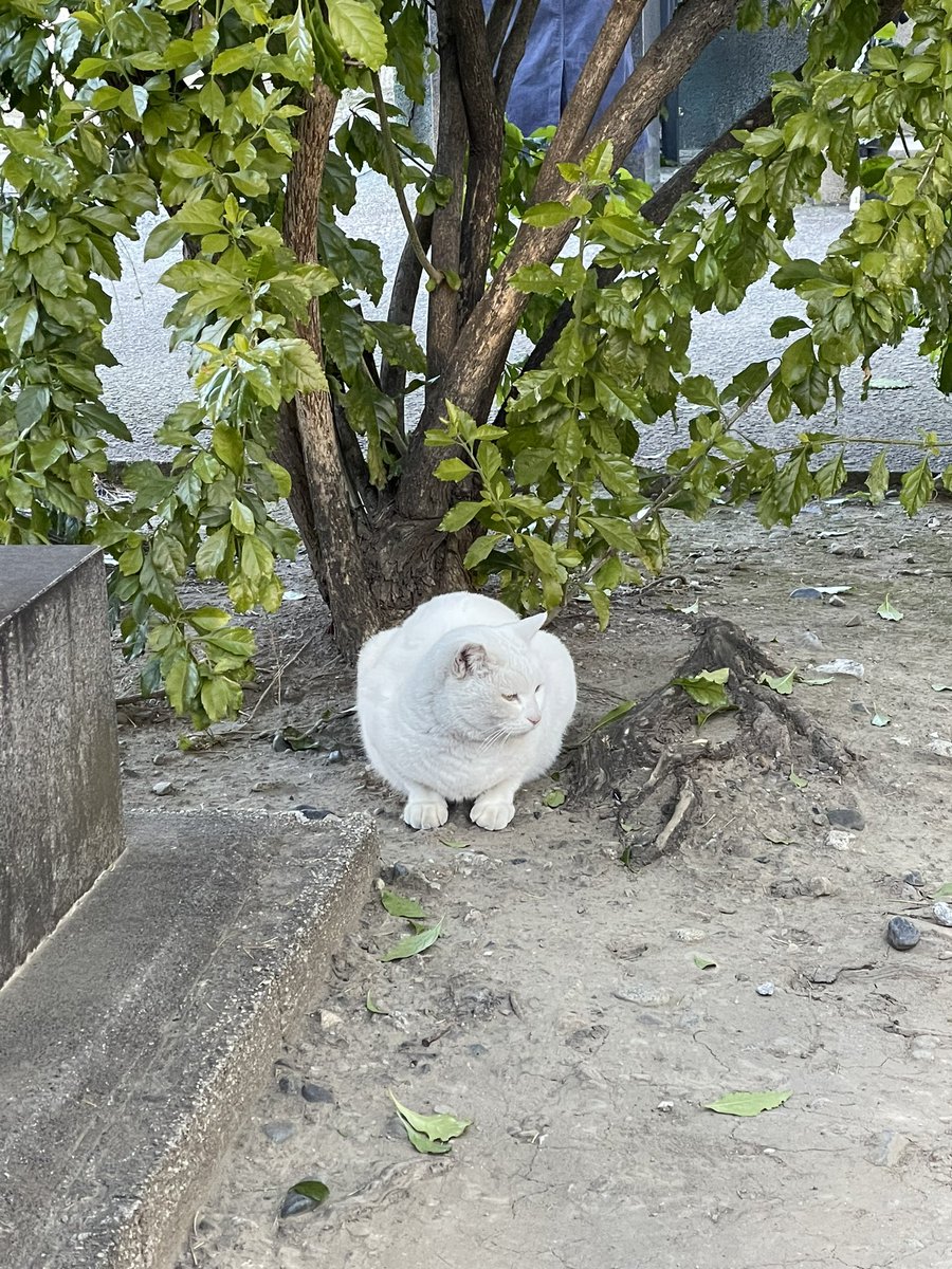 縁結びのパワースポット、
皆様にもご利益がありますように！😊👍
#今戸神社