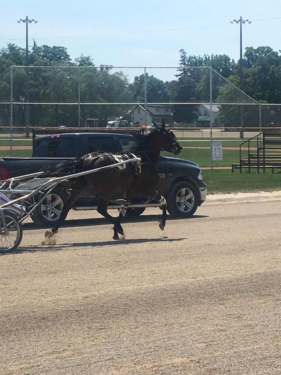 AnnaTucciarone's tweet photo. @hoosiernations @MissyEssig @KimberlyMosier1 @CLANCYO5 @rebelsart @jtlburn @KathleenBaitzel @joe_norte @dolenski_john @BradA53472906 @JoanEwi36974093 @KerriLT17 @SadandSulk @MidwestHarness @vnssa926 @HPEmilyG @harnessindiana @HoP_Racing @blongphee67 @musicalhossgal @tlvonline @graybrigade @rswenton927 @RustyVorhees @MatlackArlene @sandy_veltri @Equusartist SUNSHINE IN MAE (Racing) 

Racetrack: Western Fair
Race: 1
Post Position: 7
Driver: Scott Wray 

Let’s go Little Mae! 💖 https://t.co/IDWBJGMe0X