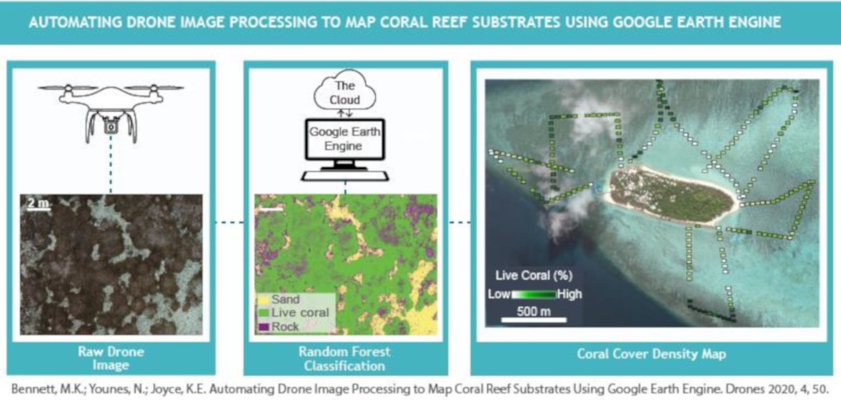 Drones_MDPI's tweet photo. 🙌Automating #drone #image processing to map coral reef substrates using #GoogleEarthEngine
by Mary K. Bennett, @Nico_Younes and Karen Joyce
👉Full paper https://t.co/sTZAaKjRQu
#drones
#Coralreefs
#random_forest
#GEE
#remotesensing
#RPAS https://t.co/UAe1laKWVt