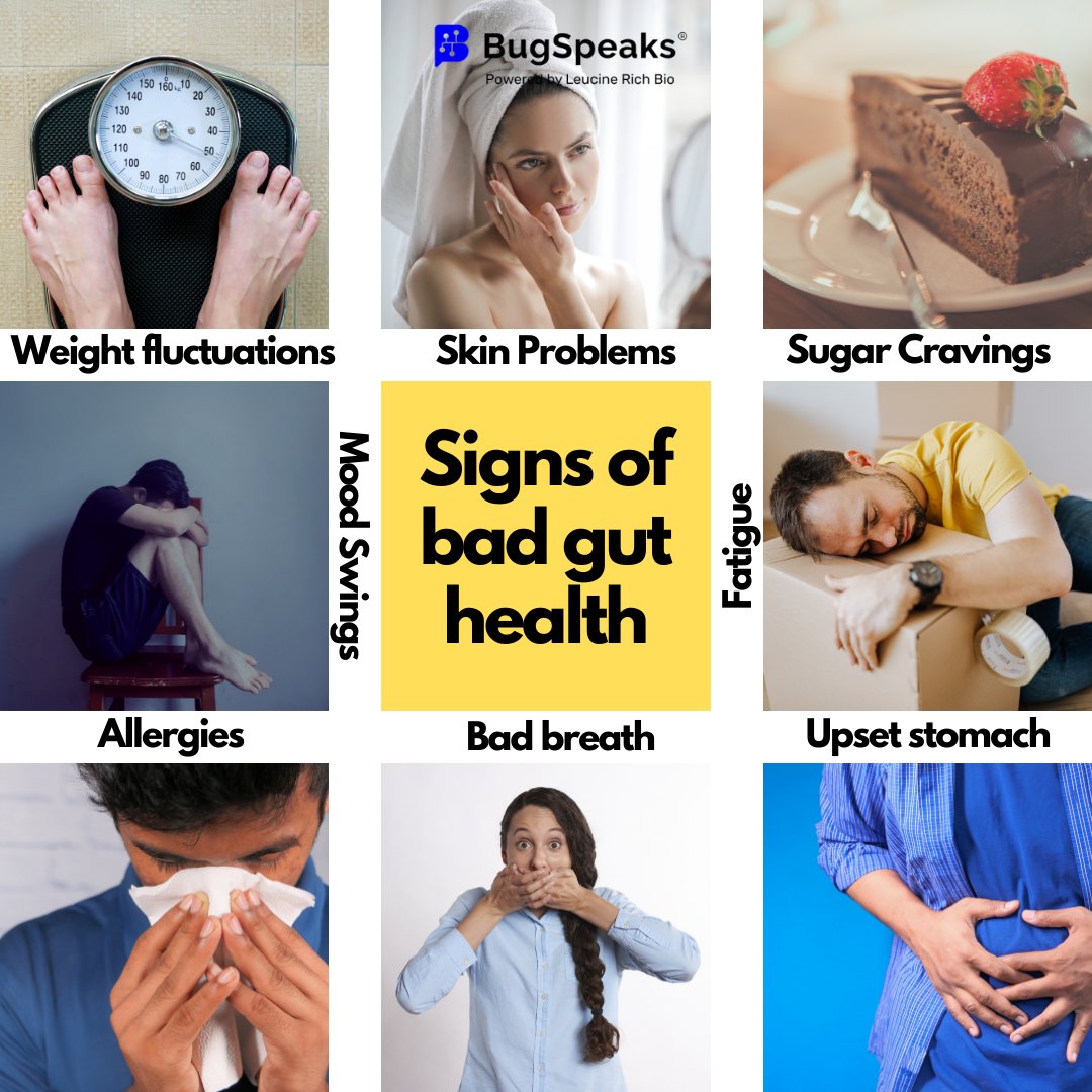 BugSpeaks's tweet photo. Bad gut health can lead to many ailments. Take care of your gut and it will take care of you!
#bugspeaks #rychbiome #guthealth #health #wellness #gutmicrobiome #microbiome https://t.co/O4CPKZOXcD