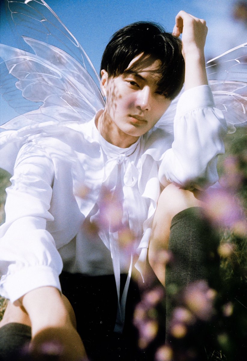 kunimees's tweet photo. ㅤㅤ 
             
                       valentino dylan lee 
                ˚✦˚｡⋆ ━━━━━┅┅ ｡༅:*
                                fairy au!  
                 not new to rp. not new acc.
                     like &amp; rt to be mutuals https://t.co/q9voPNyi7i