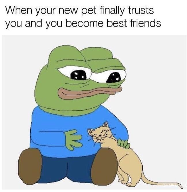 WholesomeMeme's tweet photo. https://t.co/uzPIMKBz8s