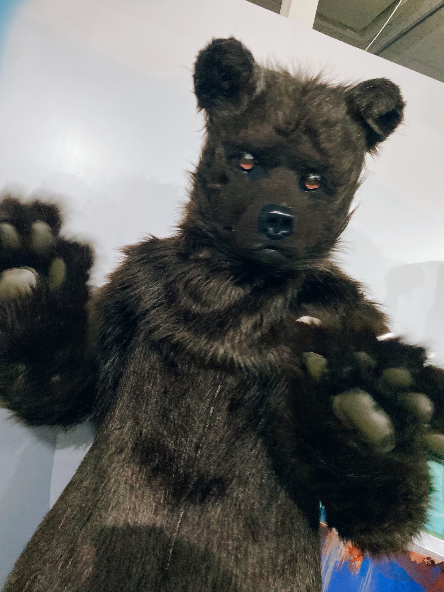 えり ときどき熊が襲いかかってくる無人島からの脱出 失敗 大反省も大反省よ 最近謎解きしてなかったことで完全に衰えてる ああ情けない 公演自体は超楽しくて 大好きなタイプだった 早くも22年1位の候補 ビビりな私は熊が怖すぎて終始