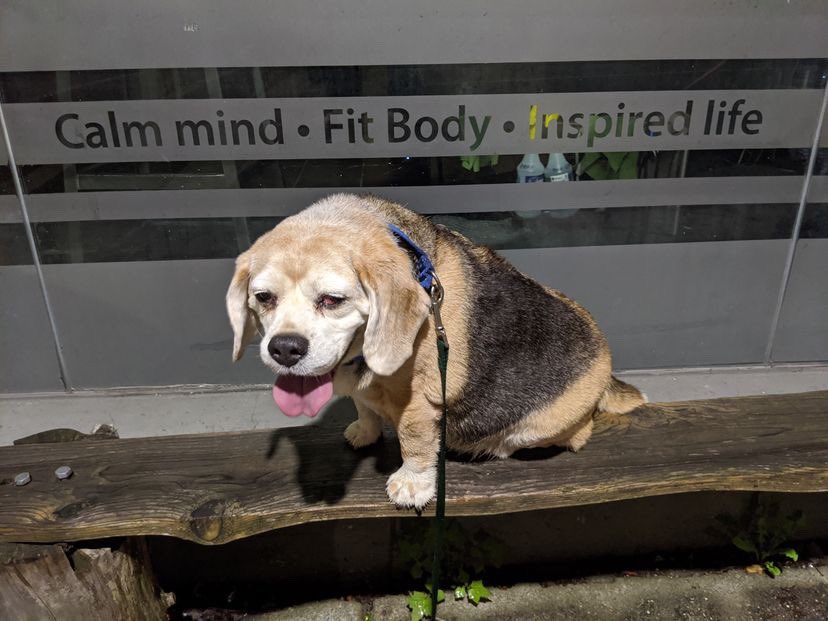 horse_feedbag's tweet photo. Calm mind. Fit body. Inspired life https://t.co/LvEM42HyII