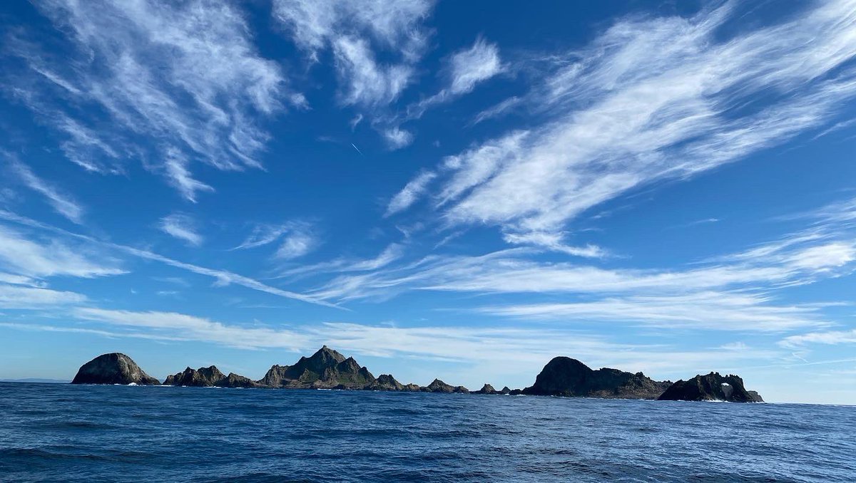 VickySharky's tweet photo. The jagged granitic outcroppings that make up the Southeast Farallones are so fierce and intimidating that they were nicknamed the Devil’s Teeth by mariners and coffee sharks. #DevilsTeeth #FarallonIslands https://t.co/6sS2URz88f