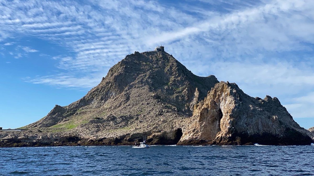 VickySharky's tweet photo. The jagged granitic outcroppings that make up the Southeast Farallones are so fierce and intimidating that they were nicknamed the Devil’s Teeth by mariners and coffee sharks. #DevilsTeeth #FarallonIslands https://t.co/6sS2URz88f