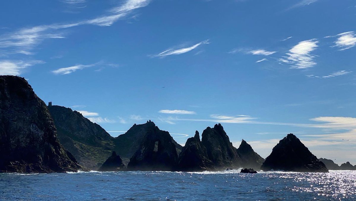 VickySharky's tweet photo. The jagged granitic outcroppings that make up the Southeast Farallones are so fierce and intimidating that they were nicknamed the Devil’s Teeth by mariners and coffee sharks. #DevilsTeeth #FarallonIslands https://t.co/6sS2URz88f