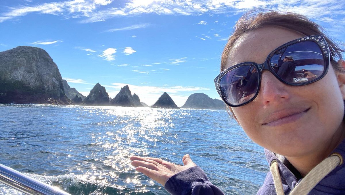 VickySharky's tweet photo. The jagged granitic outcroppings that make up the Southeast Farallones are so fierce and intimidating that they were nicknamed the Devil’s Teeth by mariners and coffee sharks. #DevilsTeeth #FarallonIslands https://t.co/6sS2URz88f