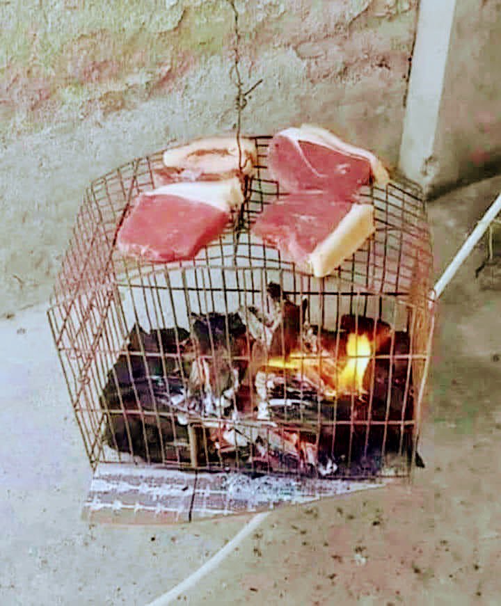 diario_objetivo's tweet photo. los limites están solo en tu mente. https://t.co/a150Apff6y