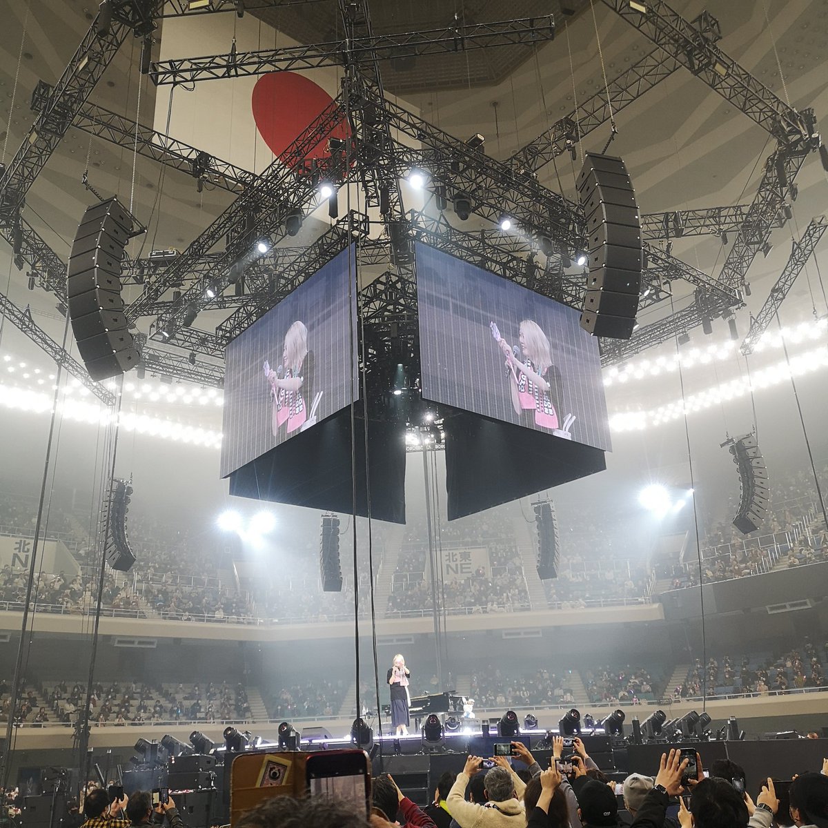 ハラミちゃん 1月4日 武道館 昼公演 極上席 1枚