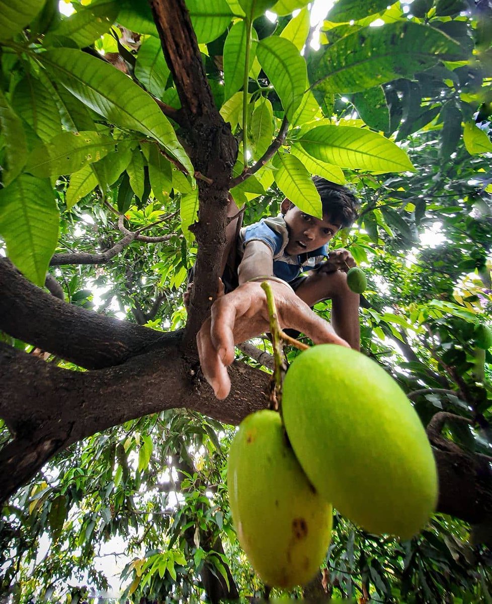 nature_gopi's tweet photo. #greatclick
#awesome https://t.co/27He8Ftbb2